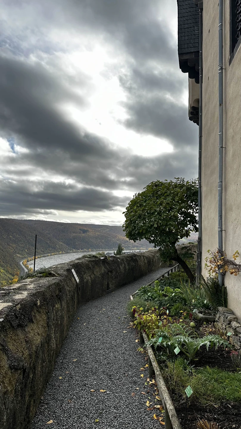 Благодаря Татьяне увидели Германию с другой стороны. Невероятная красота и интересные легенды. Со всем этим нас