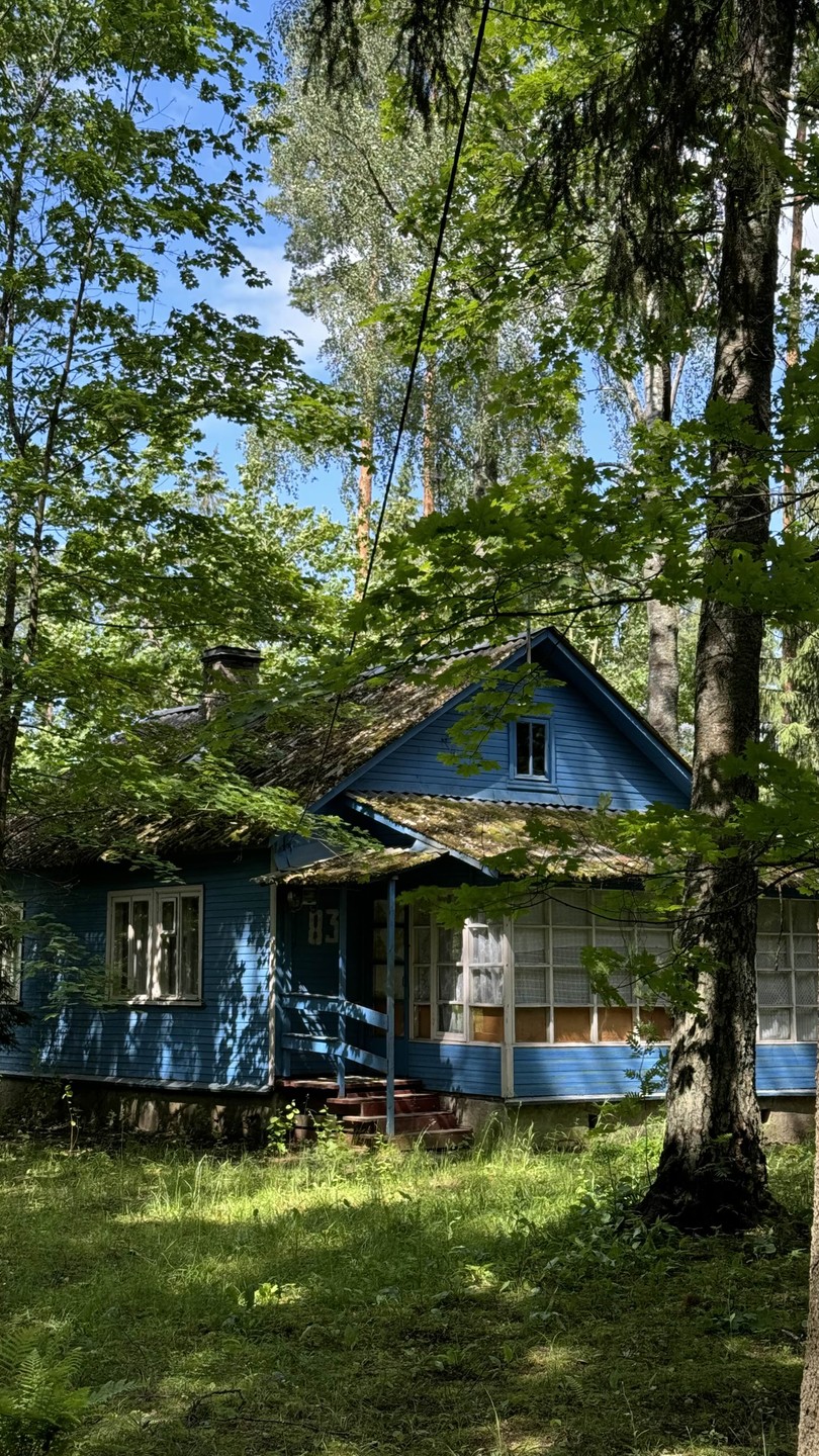 Лесная сторона Комарово: от дач до «будки» Ахматовой (Алина)