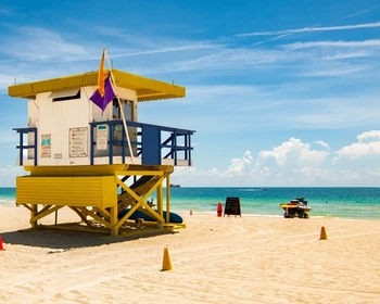 Солнце, океан, Майами