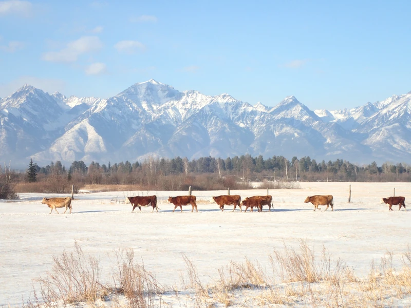 Путешествие в Аршан: прогулки в предгорье Саян и красоты Тункинской долины