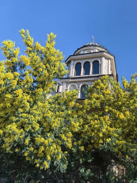 Замечательная экскурсия!