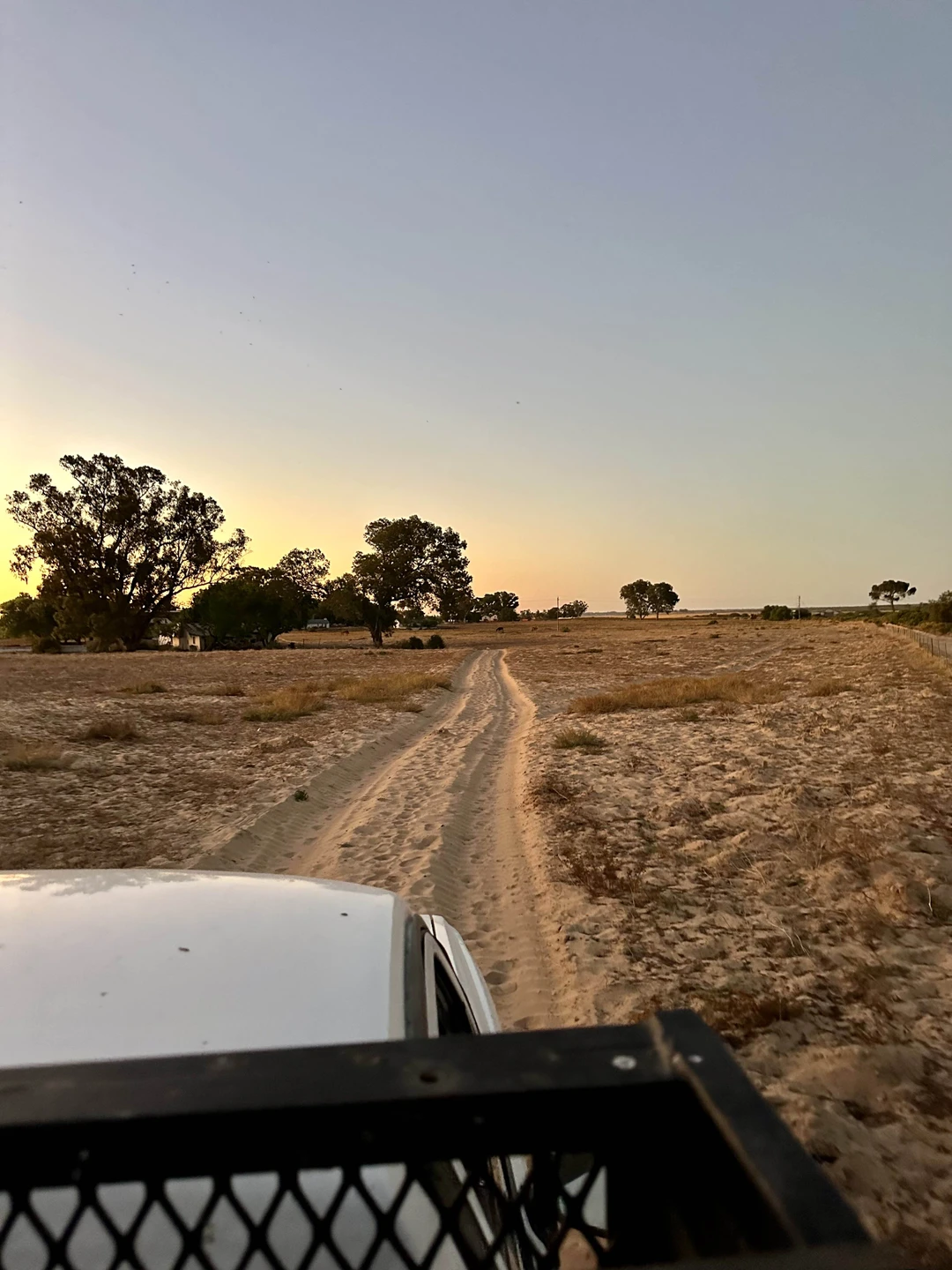 Константин, Виктор и Алексей!