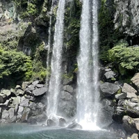 Фото отзыва 1: экскурсия "Чеджу — остров, куда хочется вернуться"