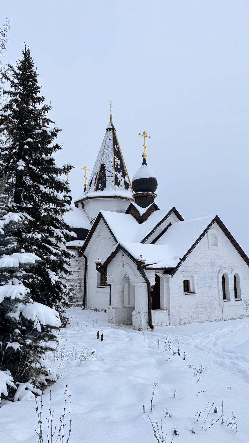 Интересная поездка в музей Есенина и в монастырь, красивые виды природы, особенно зимой, впечатлили!