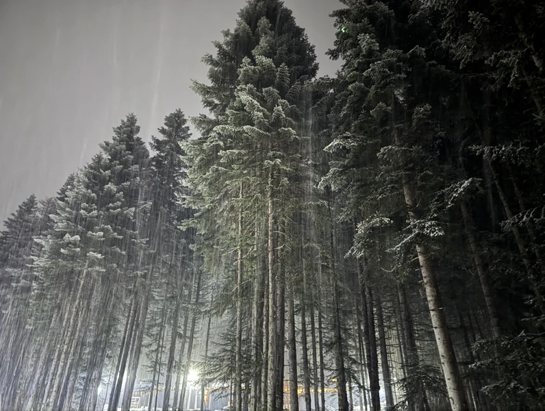 Автобусный тур в Домбай из Астрахани: Мусса-Ачитара и экскурсии на выбор