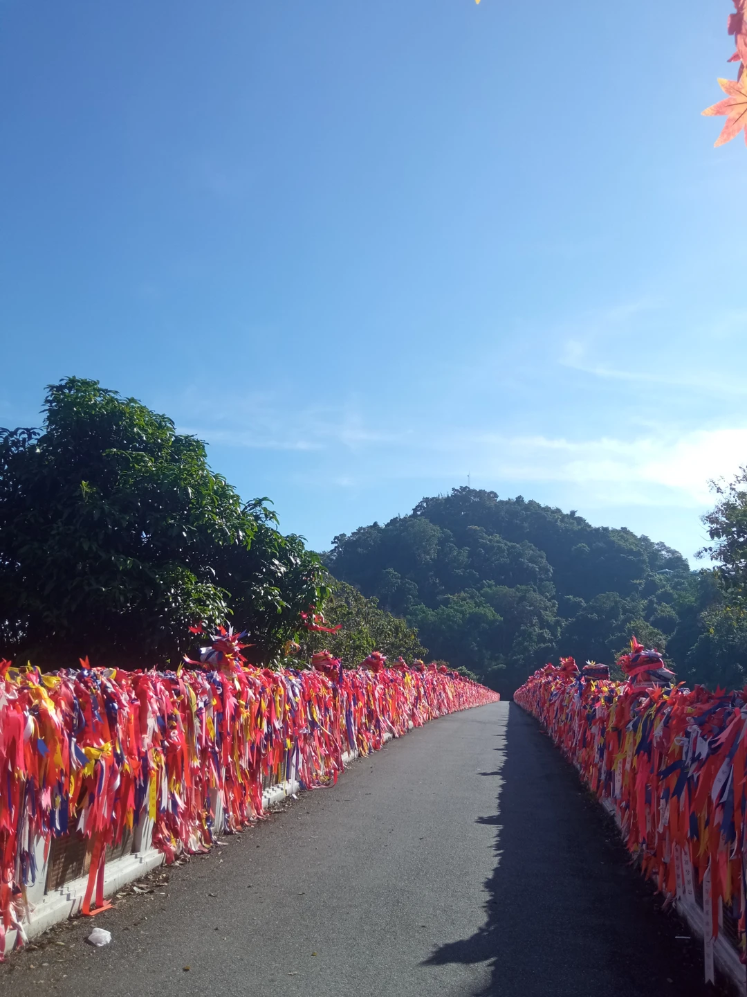 22.11 посетили экскурсию "Дискавери", хотим сказать большое спасибо Дарье, было очень интересно и познавательно, места в
