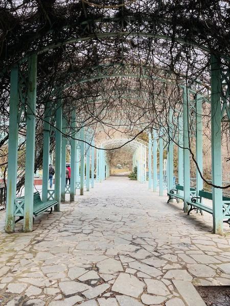 Прекрасный маршрут, наполняющий такими разными по настроению впечатлениями. Очень хотела именно такое наполнение, включающее Боржоми. Гид