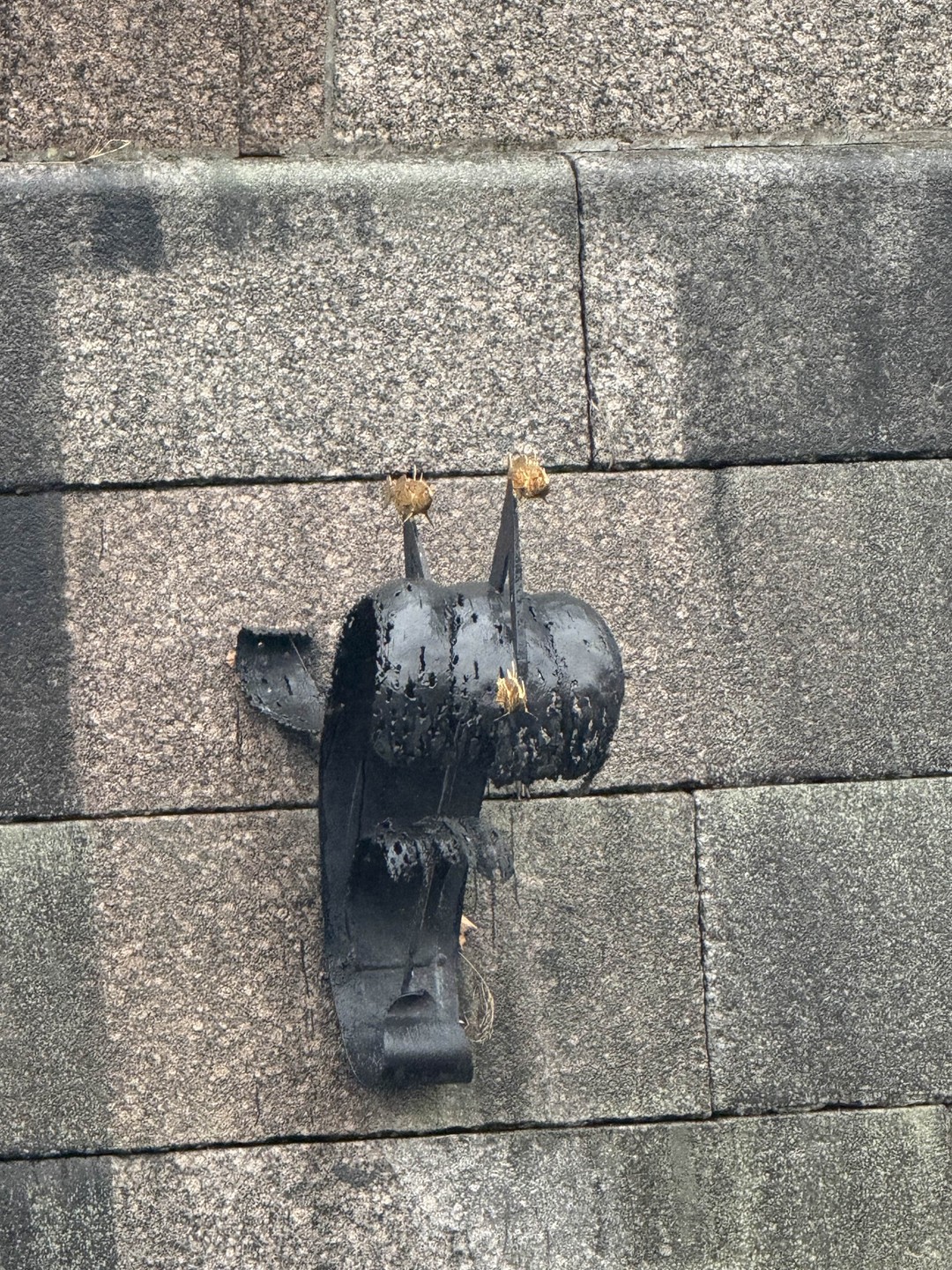 Из Санкт-Петербурга в Петергоф и Кронштадт: 2 города за 1 день (Любовь)