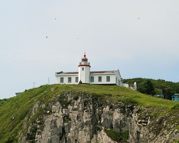 Полуостров Брюса и ужин в одном из лучших ресторанов