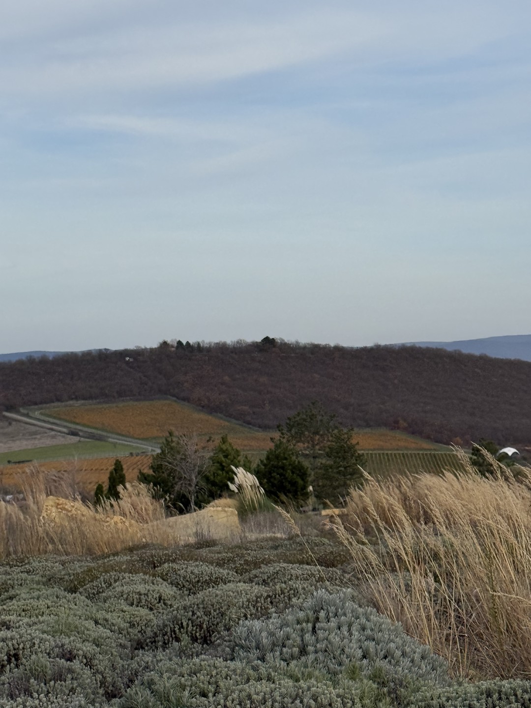 Юлия один из немногих очень хороших гидов! Бываю сама много где и сравнить есть с кем