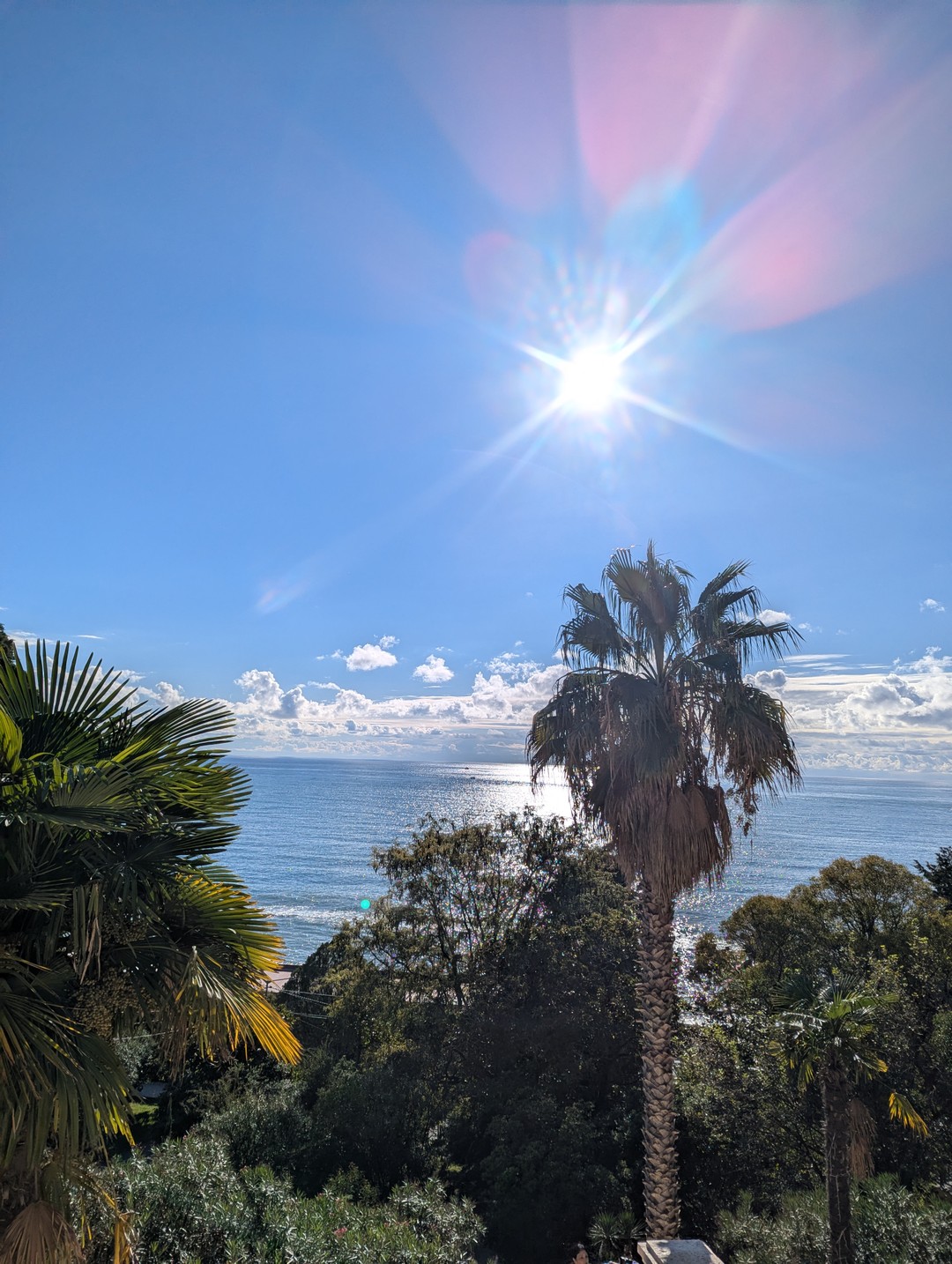 Сочи глазами местных (Кира)