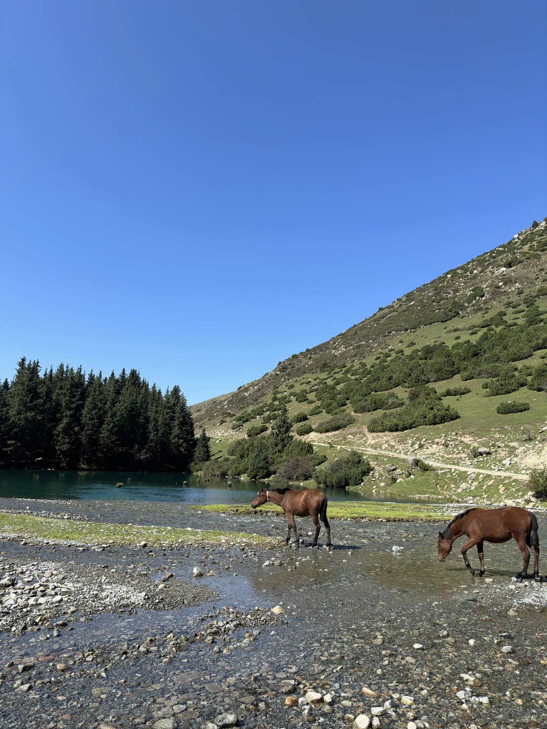 Этот день и знакомство с Дмитрием останутся в памяти надолго! Природа Кыргызстана- это чудо! Но когда