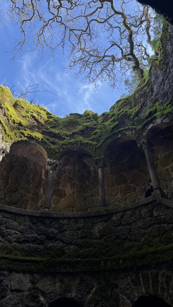 Экскурсия оставила невероятные впечатления! Мы посетили живописные места, где история оживает на каждом шагу. Спасибо Алексею