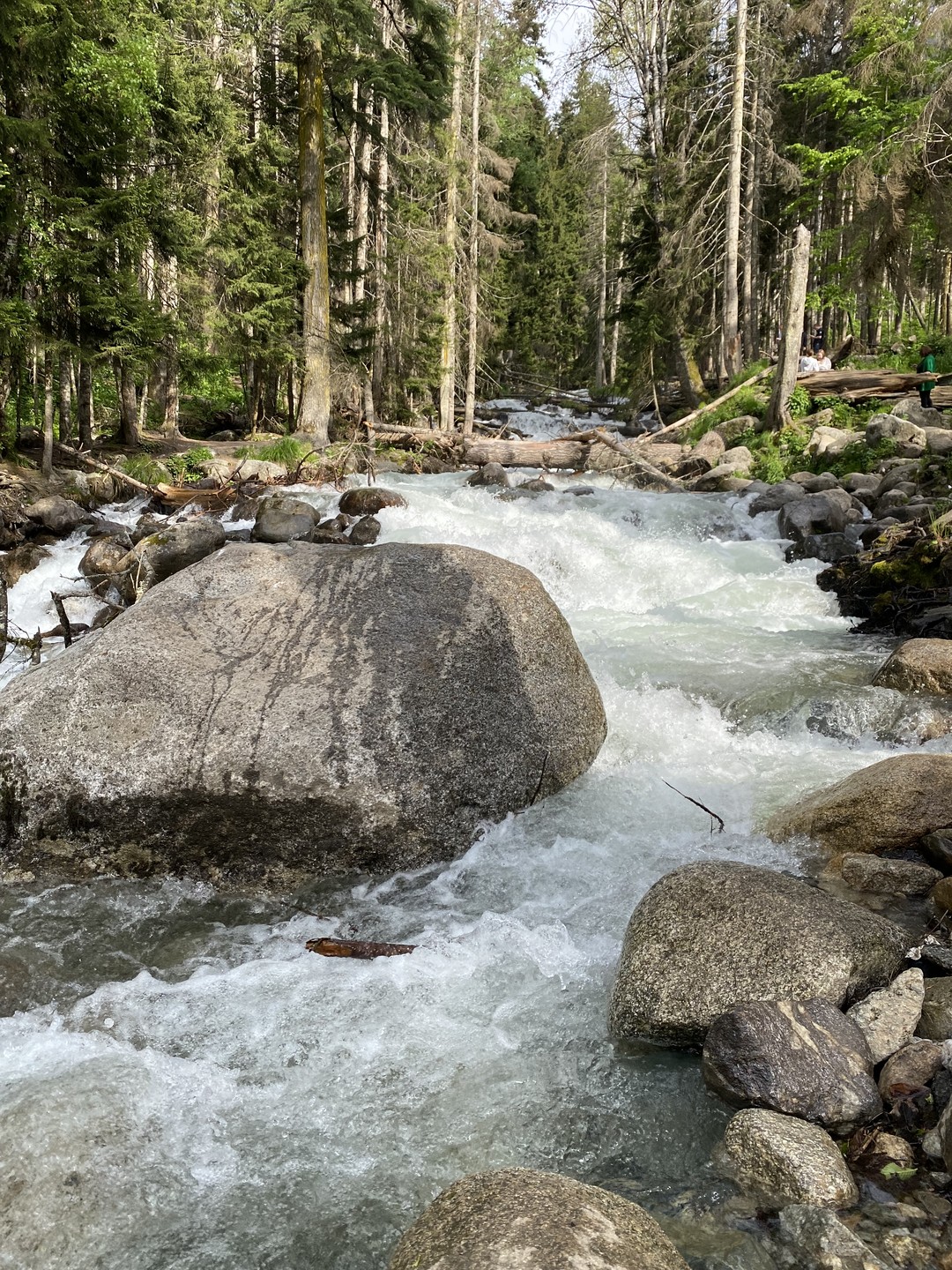 Путешествие очень понравилось) Олег хороший рассказчик, знает на 5 маршрут, рекомендует хорошие кафе с вкусное едой)