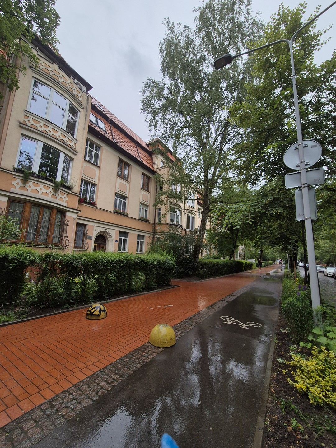 Куршская коса вдоль и поперёк (Виктория)