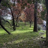 Фото отзыва 1: экскурсия "Город-сказка Сочи"