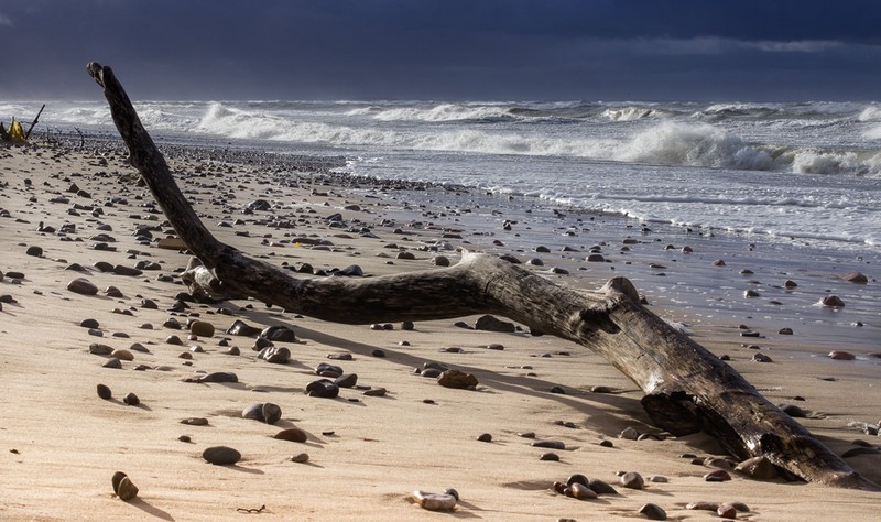 Фото 4 - Куршская коса из Зеленоградска для маленькой компании