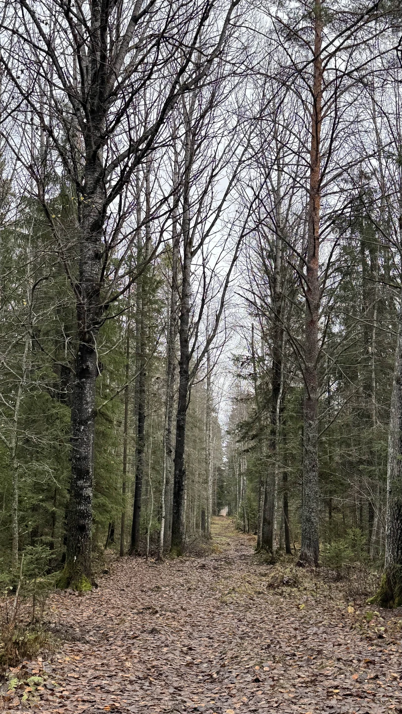 Карелия заповедная: прогулка по экотропе (Светлана)