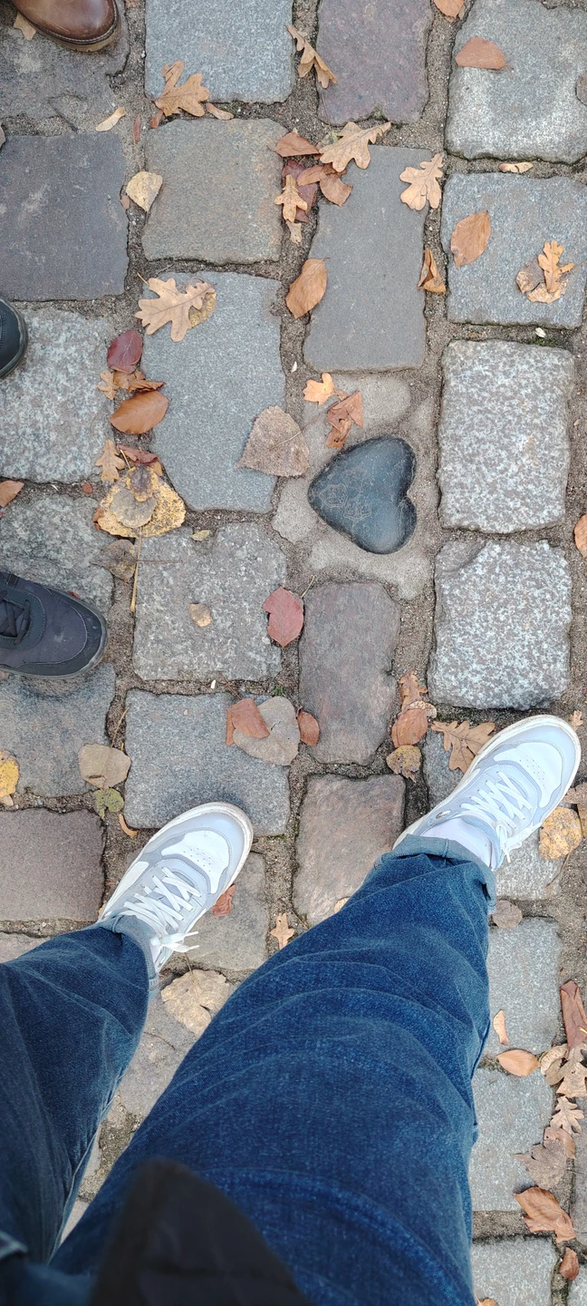 Все было отлично, спокойная прогулка в наушках, комфортно, размеренно, с остановками для фотографий.