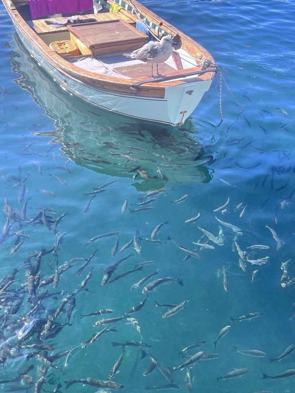 Неизвестный Стамбул (Николай)