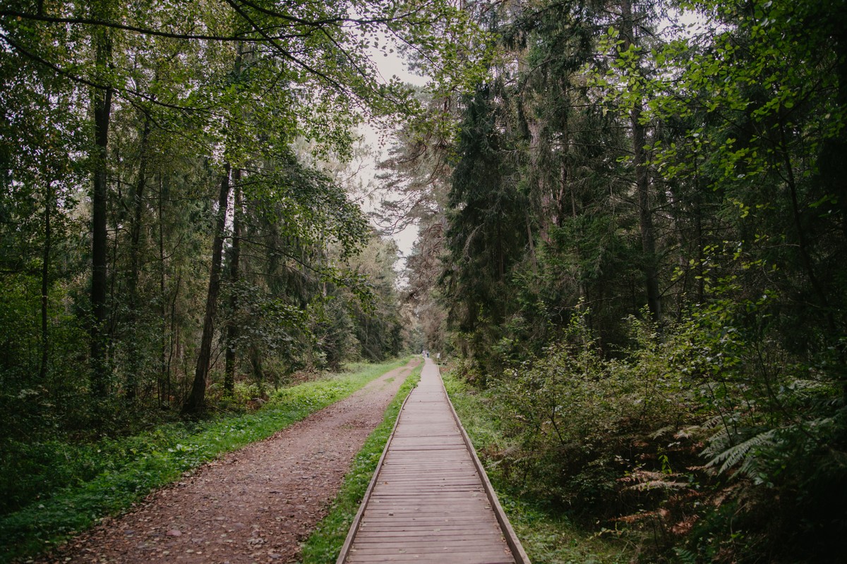 Фото Рано утром — на Куршскую косу