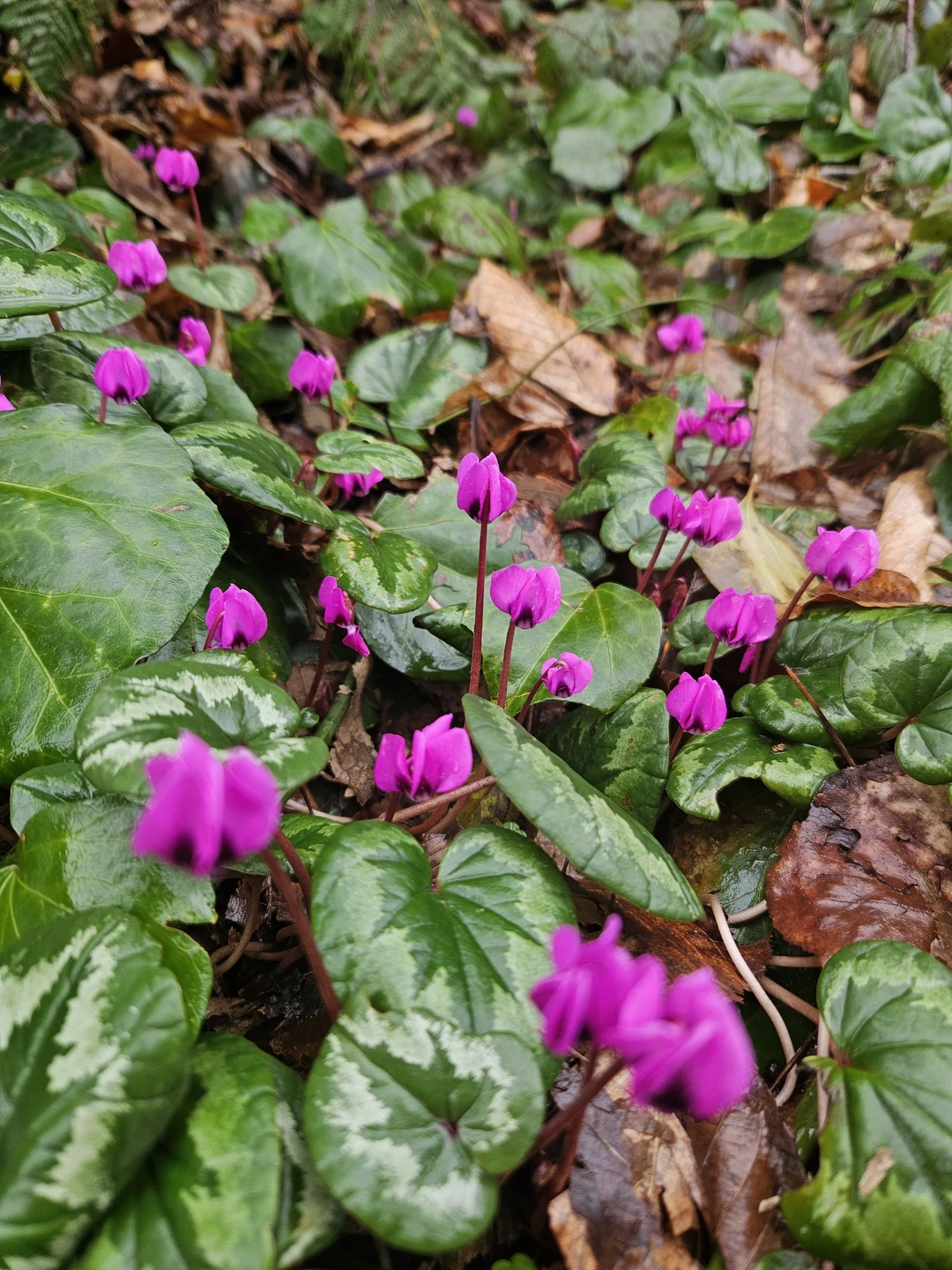 Если бы можно было поставить 1000 пятерок, я бы это сделала!