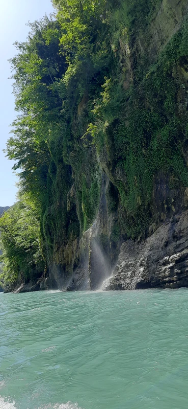 Сочи: удивись перед отъездом