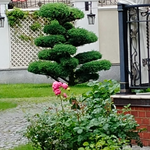 Людмила
