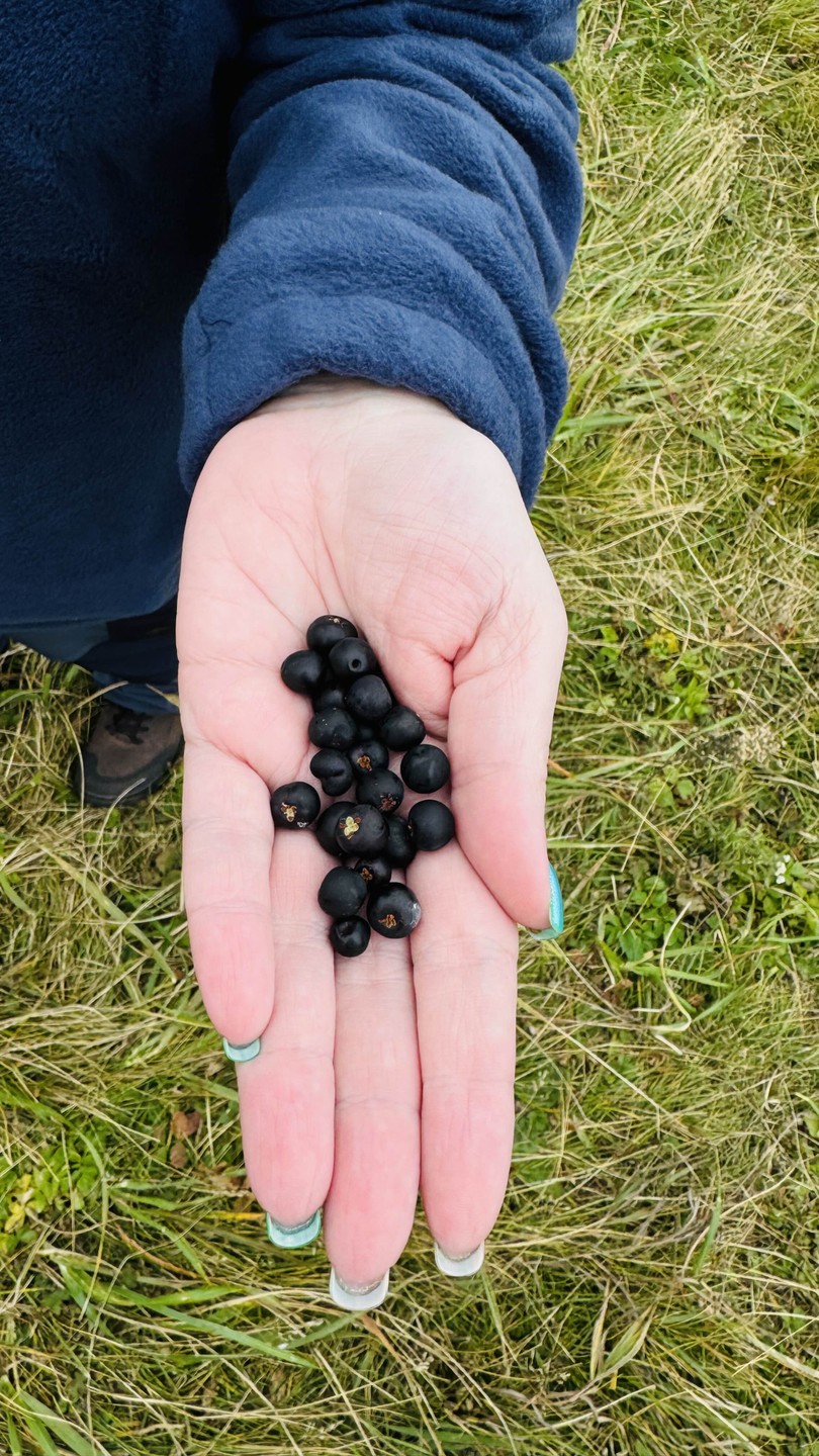 Дорогие организаторы экскурсии, примите пожалуйста нашу благодарность за прекраснейший день знакомства с потрясающей воображение природой Камчатки