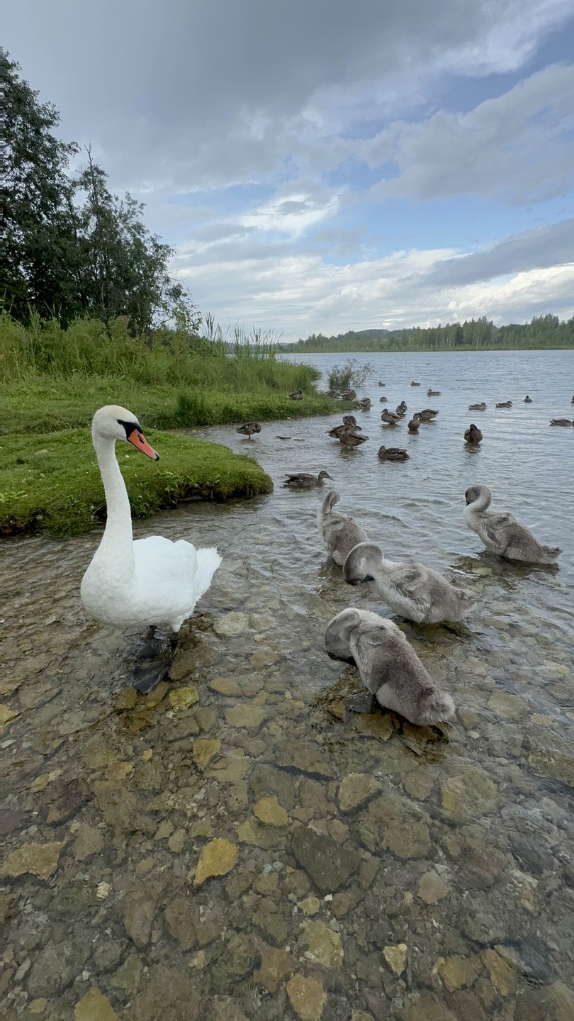 Псков, Изборск и Печоры: групповая авто-пешеходная экскурсия (Инна)
