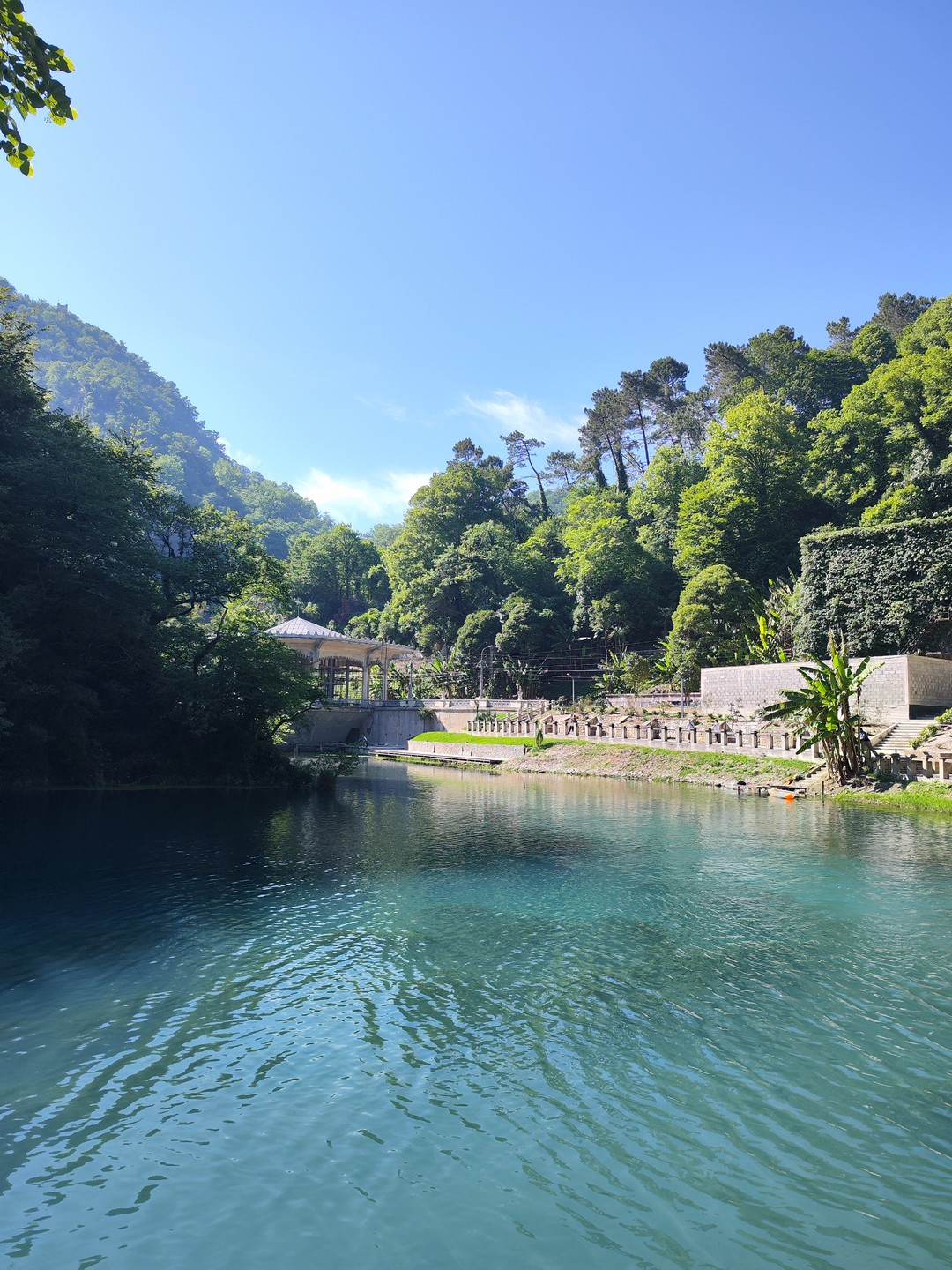 Групповая экскурсия из Сочи к символам Абхазии с посещением цитрусового сада (Анна)