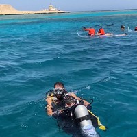 Фото отзыва 1: экскурсия "Индивидуальный дайвинг у берега Красного моря"