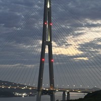 Фото отзыва 1: экскурсия "Остров Русский + мыс Тобизина"