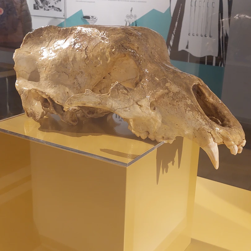 Классная экскурсия, но было бы лучше убрать из программы олимпийский парк, дегустацию и обед. Больше времени