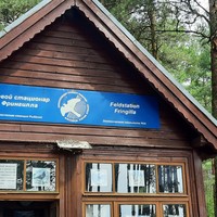 Фото отзыва 3: экскурсия "Первый раз на Куршской косе — из Зеленоградска"