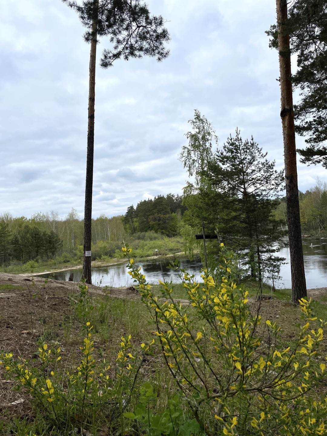 Замечательная экскурсия в последний день пребывания на Рязанской земле. Спасибо Елене за интереснейший рассказ, за гибкость