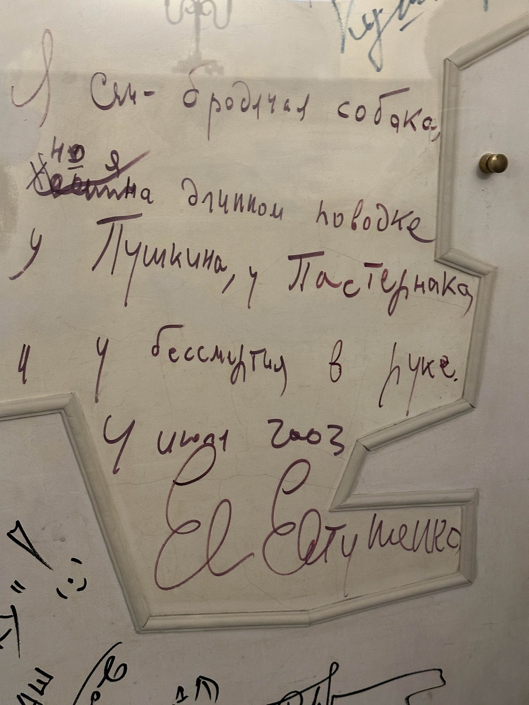 Ахматова и Петербург. Экскурсия с поэтом (Светлана)