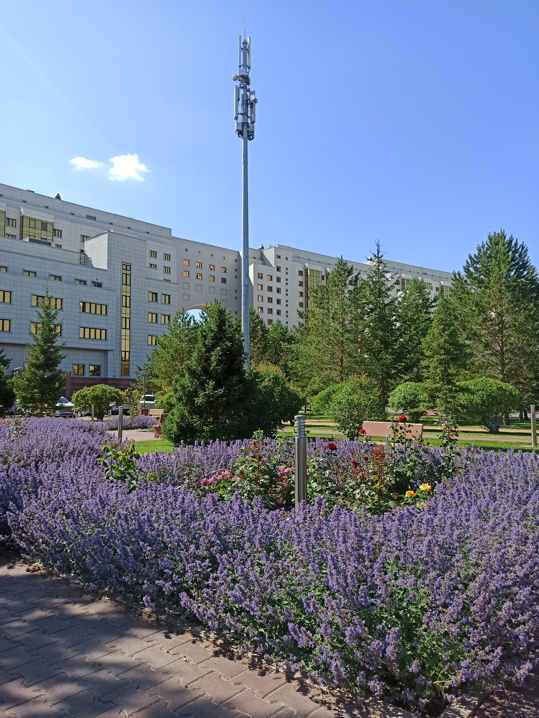 Добрый день, очень понравилась экскурсия и город, чисто, солнечно, красиво. Единственное, чего нам не хватило, это