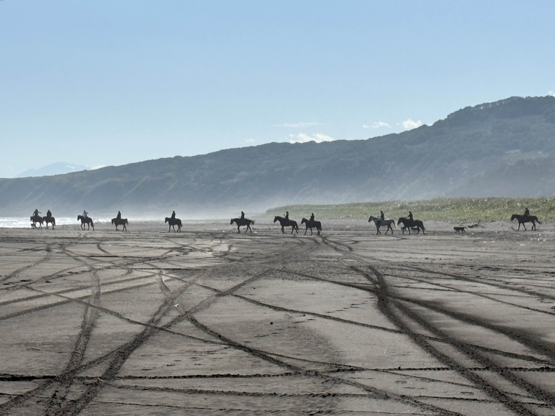 В этой экскурсии прекрасно всё, начиная от организации, заканчивая прекрасными видами на локациях. Гиды - умнички