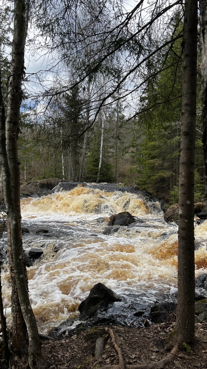 Рускеала, гора Паасо и водопад Ахинкоски за 1 день (Юлия)
