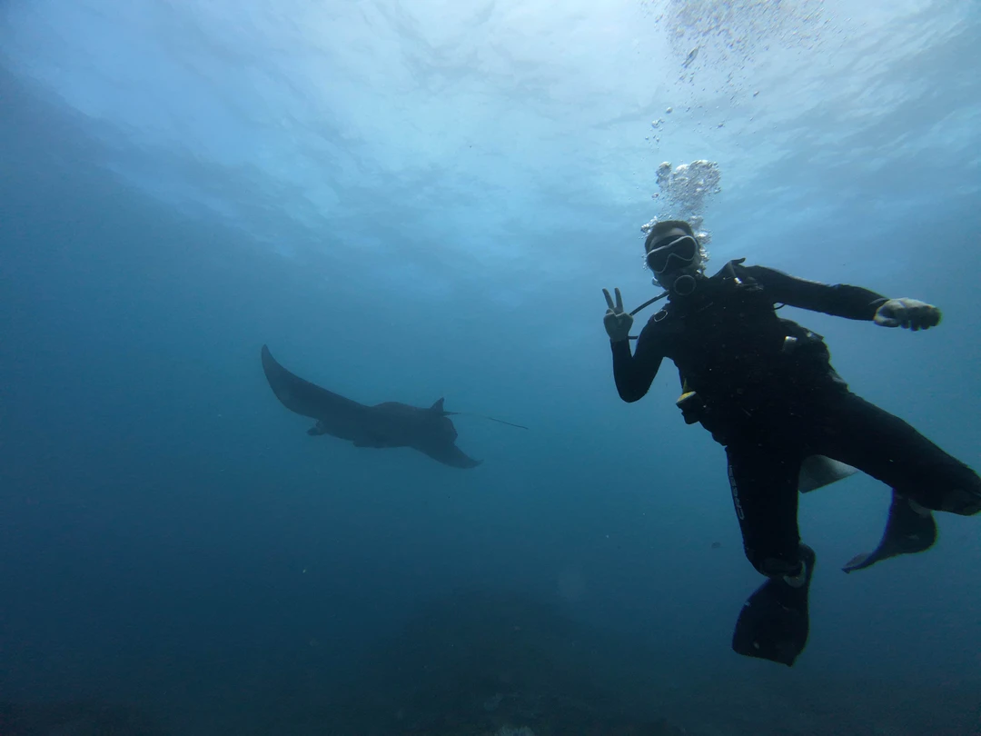 Дайвинг - мастхев в таких местах как Бали. Погружался много где, но без преувеличения скажу, что