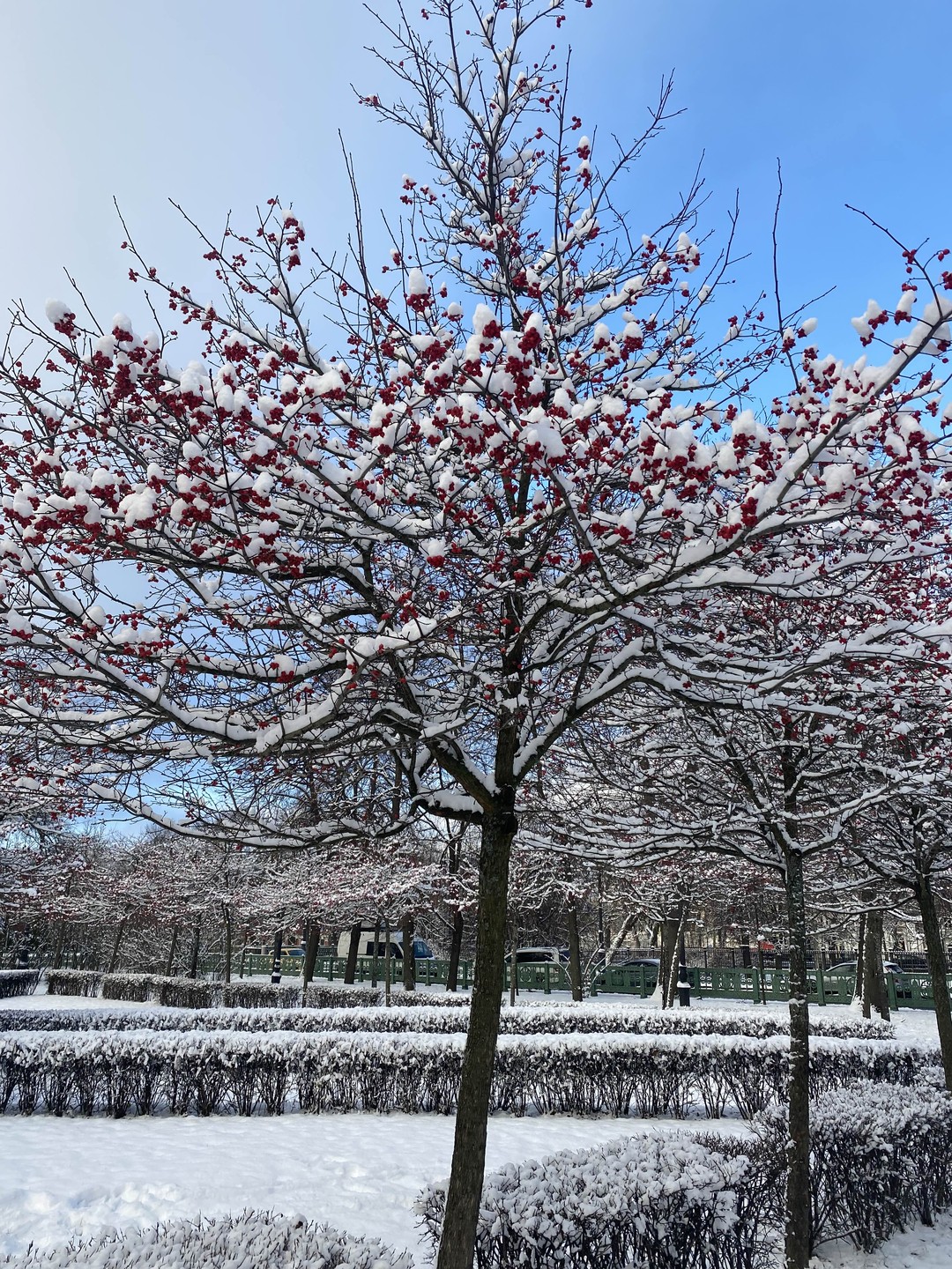 Благодарю за прекрасные эмоции. Рекомендую от всей души