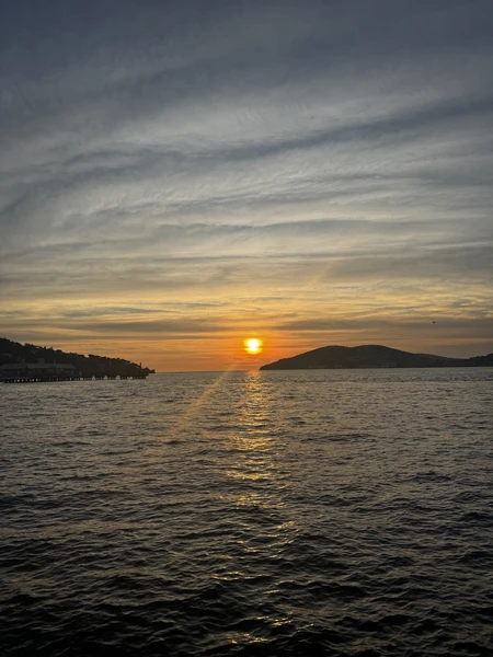 Отличный формат экскурсии для знакомства с островом Бююкада. На нем нельзя передвигаться на обычных автомобилях. Только