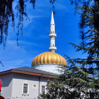 Фото отзыва 1: экскурсия "Все краски Батуми"