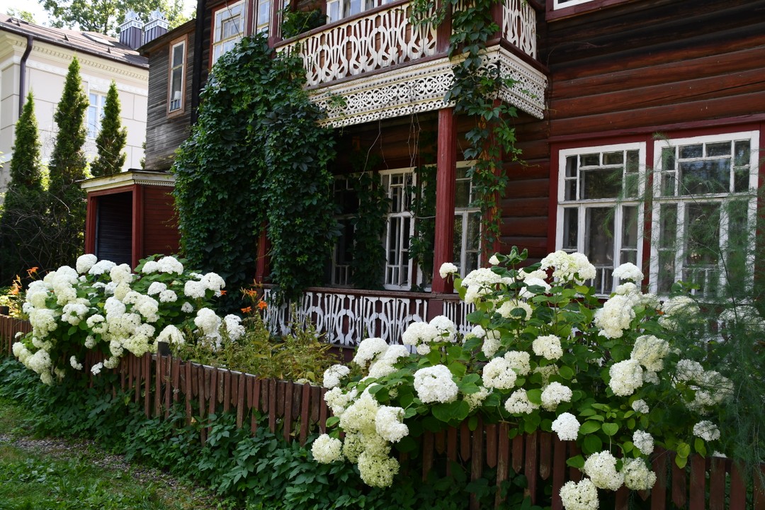 Мы никогда раньше не были в Вологде, и хотелось познакомиться с городом в компании опытного гида