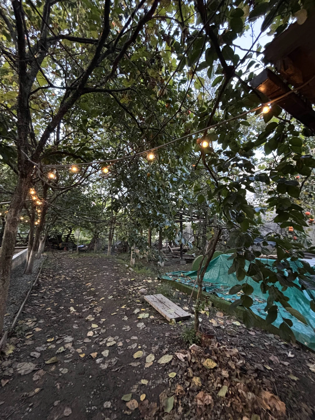 Муж в восторге, хотя сначала не хотел ехать)