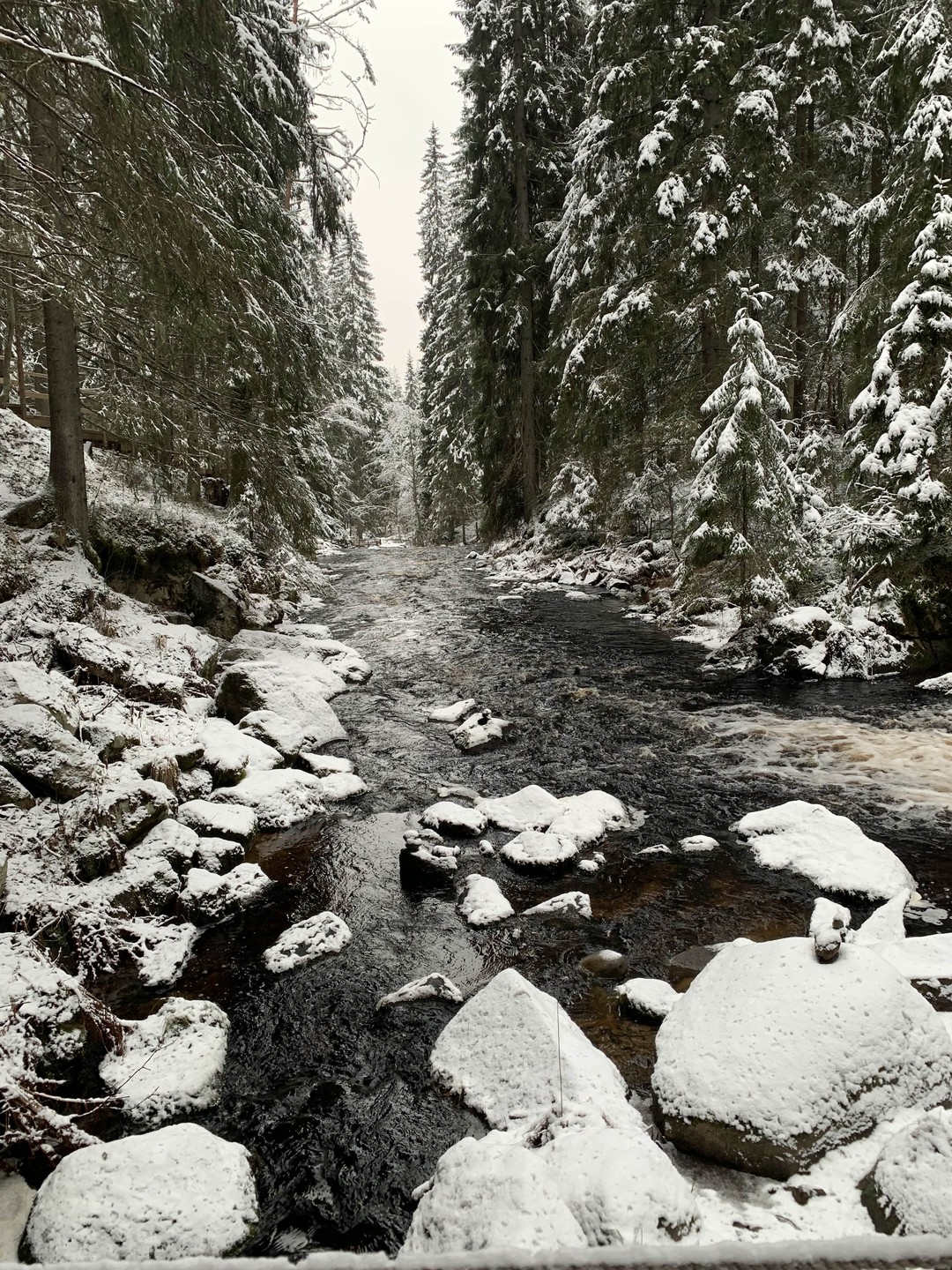 Отличная экскурсия! Гид Марина просто кладезь информации, спасибо вам большое за увлекательное путешествие! И отдельно хочу