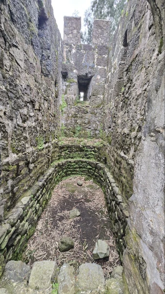 Невероятная Горная Аджария (Екатерина)