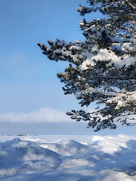 Невероятно интересная и познавательная экскурсия, Сергей замечательный рассказчик и кладезь полезной информации. Отправляясь с подругой на