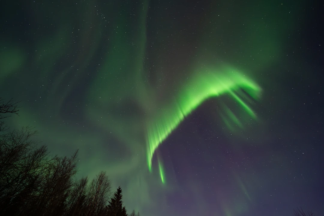 Спасибо Алексею и Анне за возможность увидеть такое удивительное явление и почувствовать себя настоящими охотниками